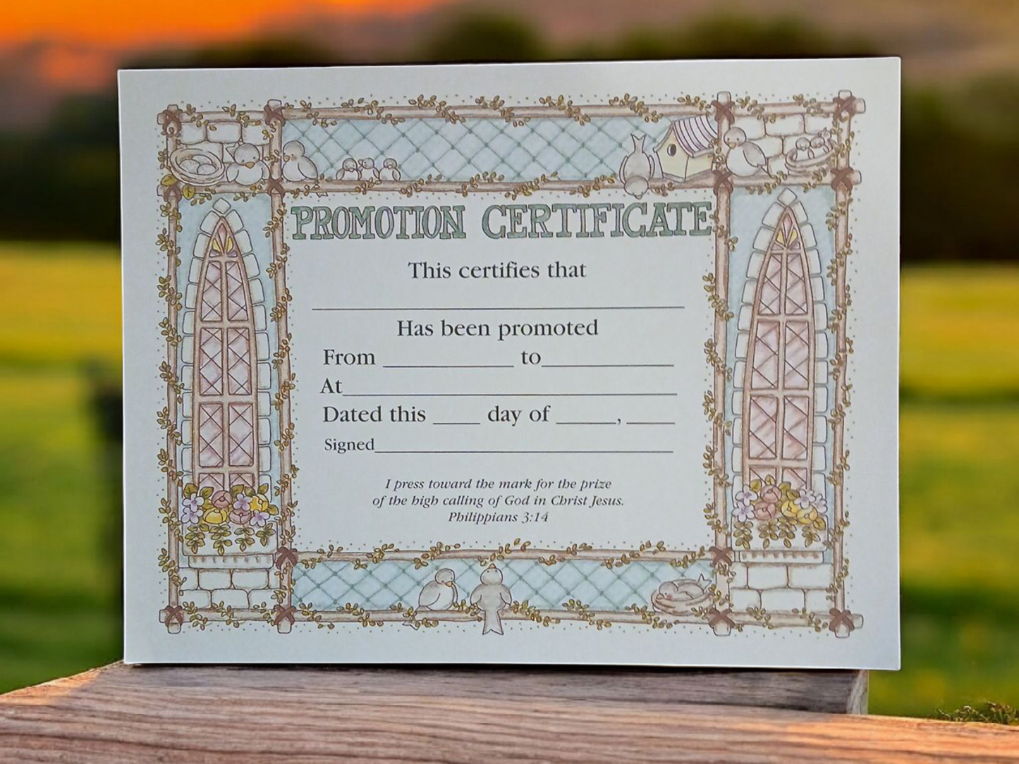 Promotion - Certificate