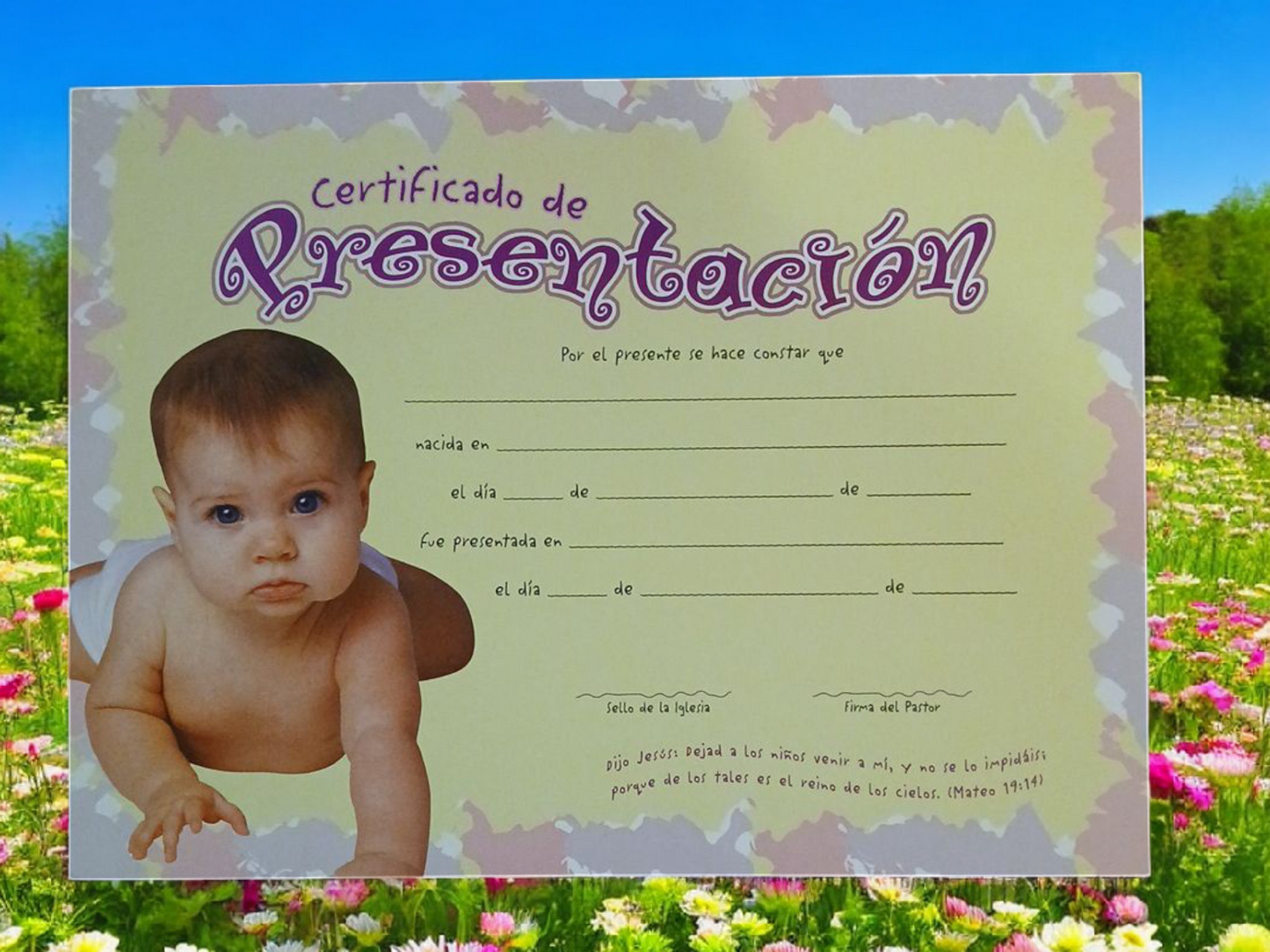 Certificado de Presentación de Niña