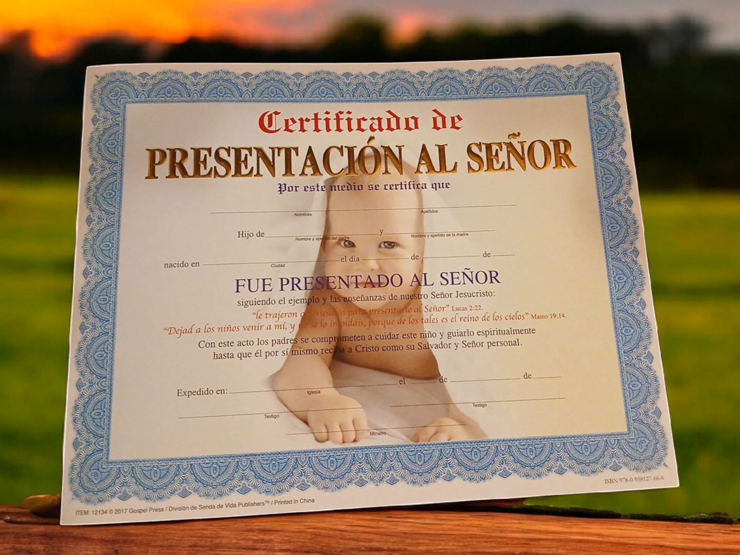 Certificado de Presentación al Señor para Niño