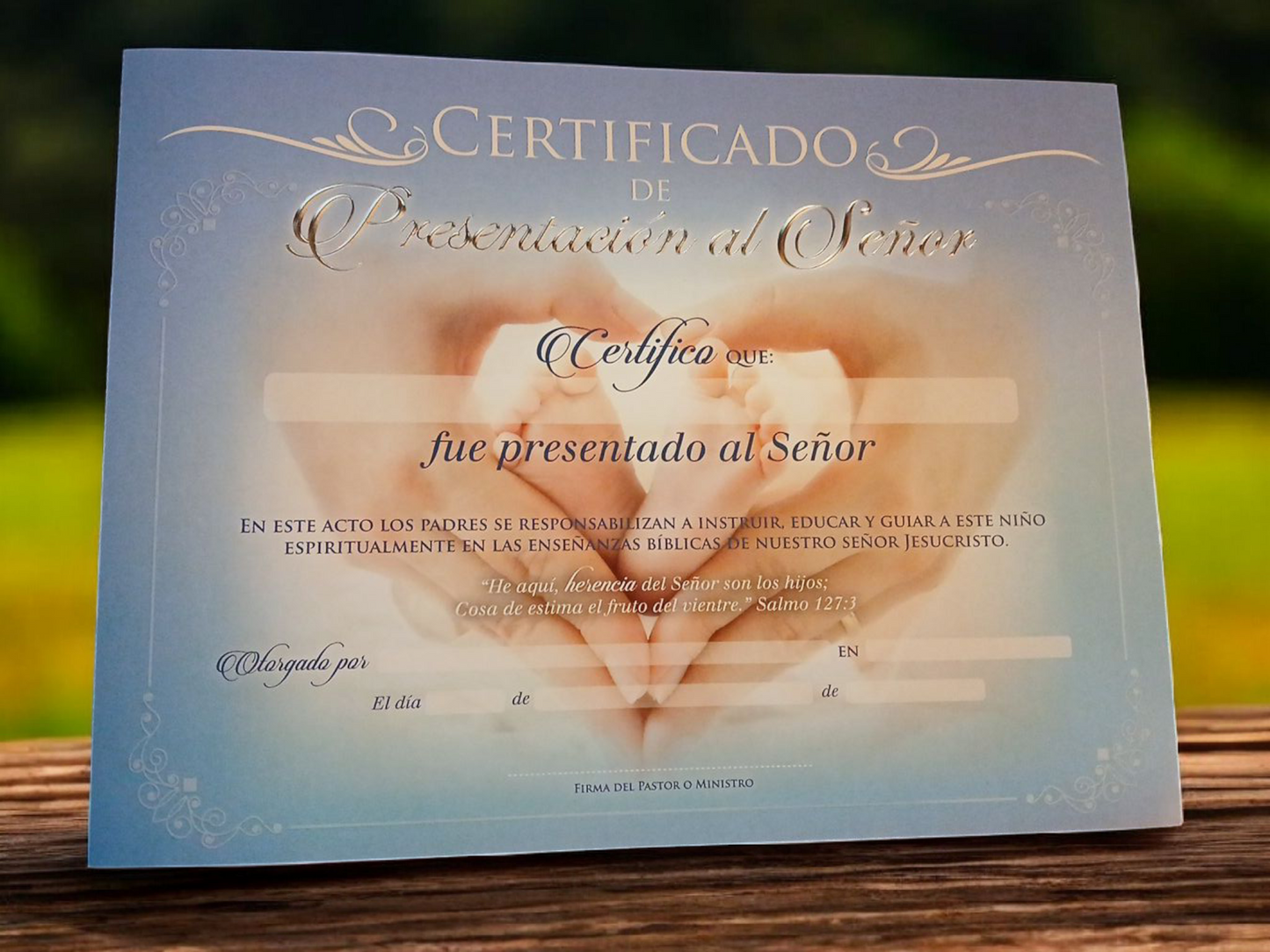 Certificado de Presentación al  Señor